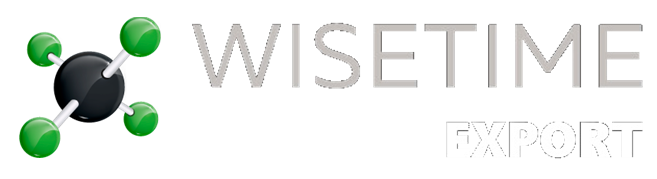 Logo Wisetime Export